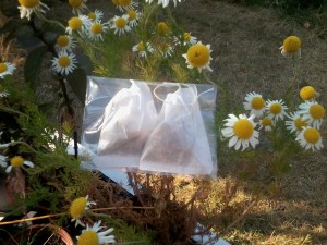 Chamomile tea bags